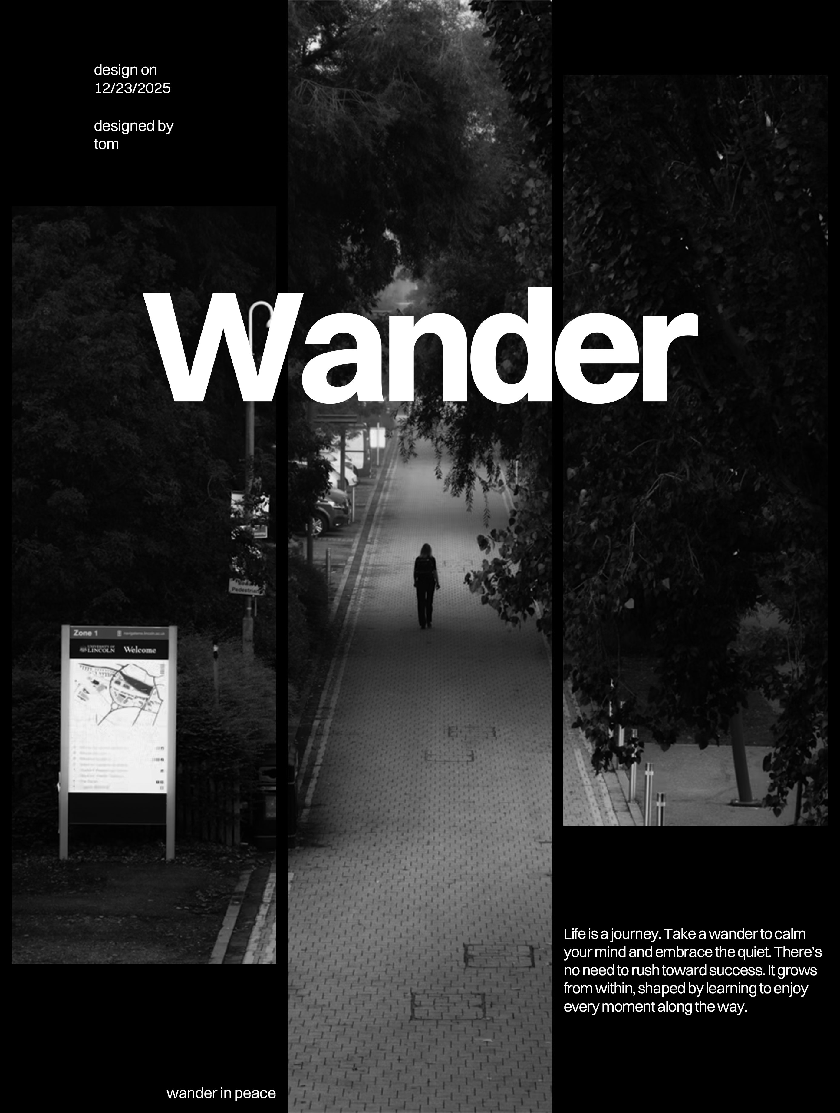 Poster Design graphic design poster poster design