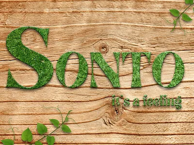 Event Promo SONTO branding logo