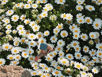 dive album cover book cover collage cover design design digital art graphic design illustration 그래픽디자인 꼴라주 꼴라쥬 콜라주 콜라쥬