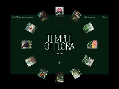 Temple of Flora art direction branding design layout typography ui website