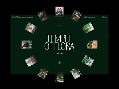 Temple of Flora art direction branding design layout typography ui website