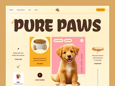 Paw - Dogs care landing page dog dog care food home page landing page ui uiux ux web web design web page website