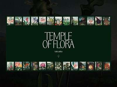 Temple of Flora art direction branding design layout typography ui website