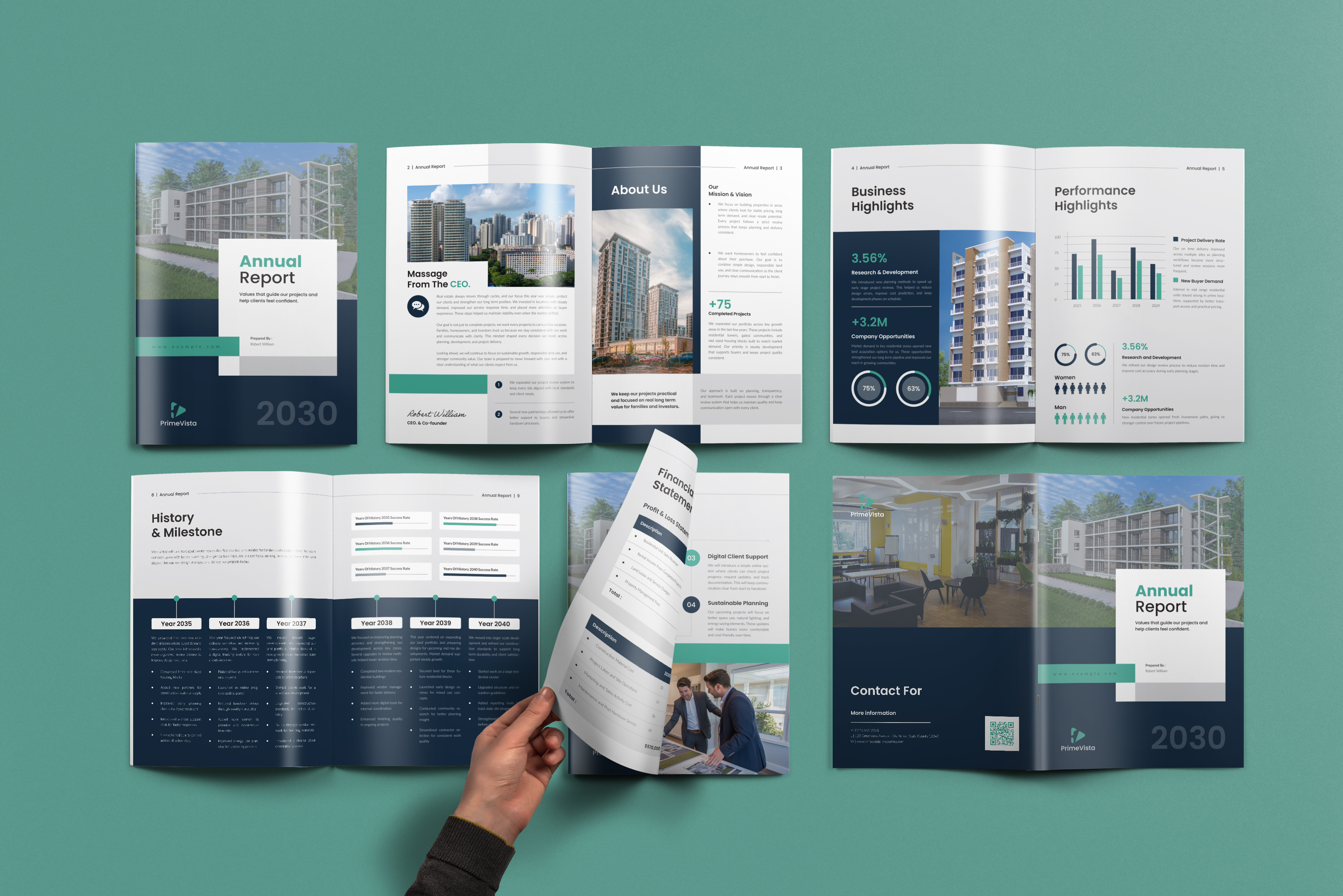 Example of Professional Company And Brochure Design
