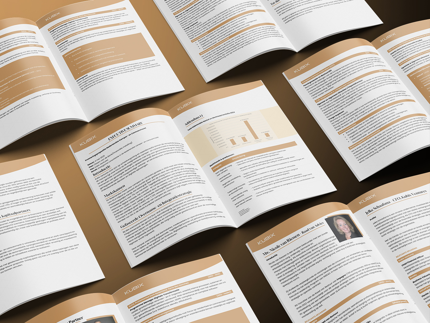 Kubix | Executive Summary 3d adobe photoshop brand identity branding brochure brochure design chart creative presentation design executive summary graphic design pitch deck pitch deck design powerpoint presentation summary summary desing visual identity