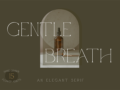 Gentle Breath - An Elegant Serif classic font classic serif classy font classy serif elegant font elegant fonts elegant serif flower vectors font lettering logotype minimalist serif font typography vintage font