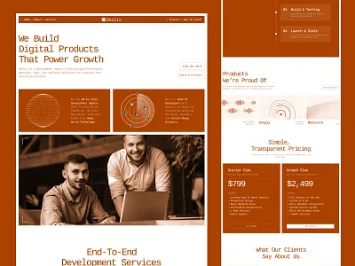 Devlix - Development agency website agency website company website development agency website digital agency website landing page studio design ui ui design uiux design ux