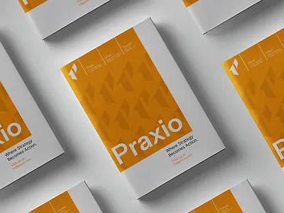 PRAXIO- Logo & Branding ai logo brand design brand system branding crypto logo finance graphic design letter p logo logo design logotype mark modern p logo professional logo tech logo technology technology logo unique logo wordmark