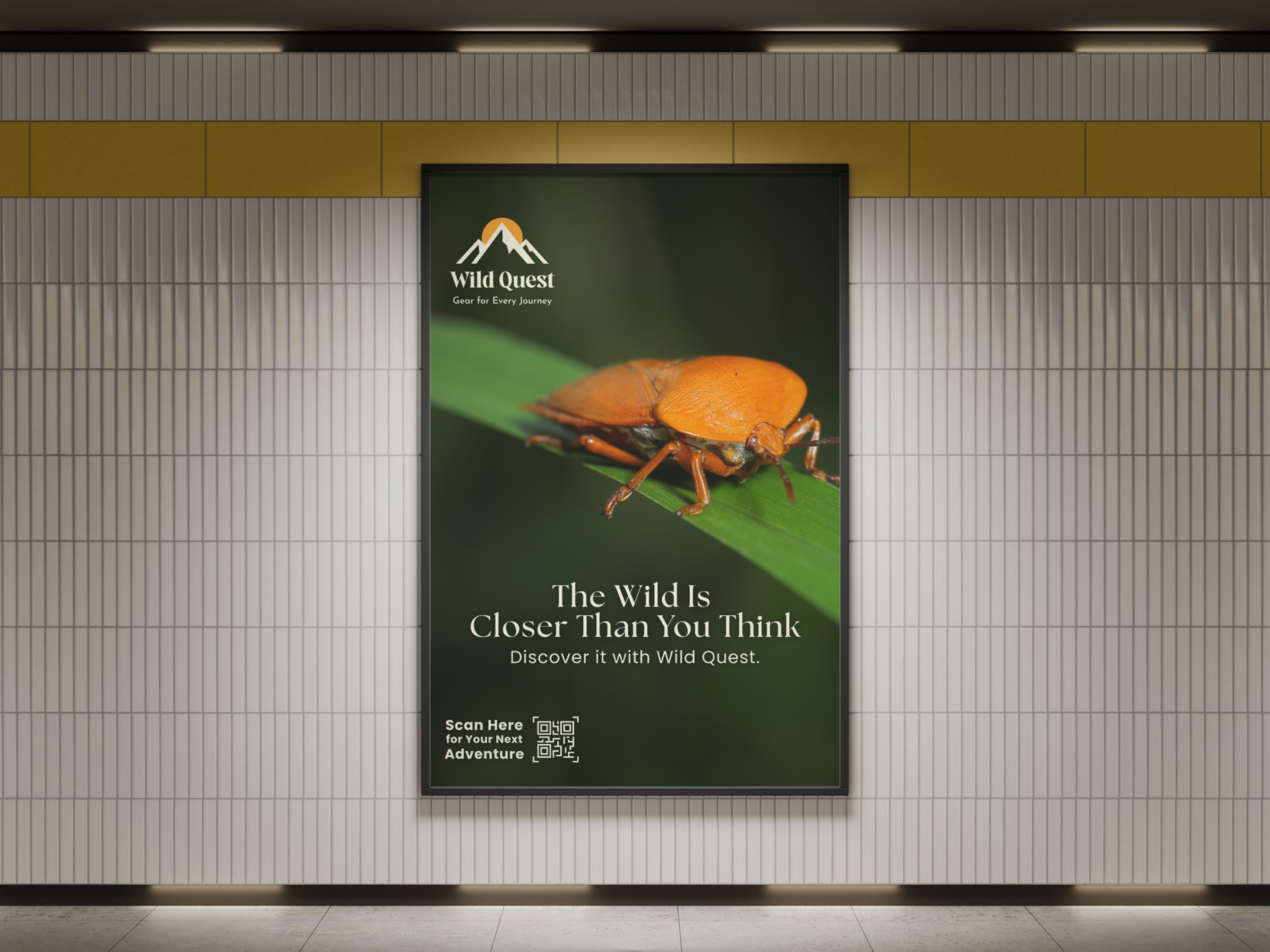 Wild Quest Logo Design - Adventure, Crafted to Last adventure brand brand design brand identity branding clean design creative design dribbble shot graphic design identity design logo design minimal logo modern logo mountain logo nature logo outdoor branding outdoor logo visual identity