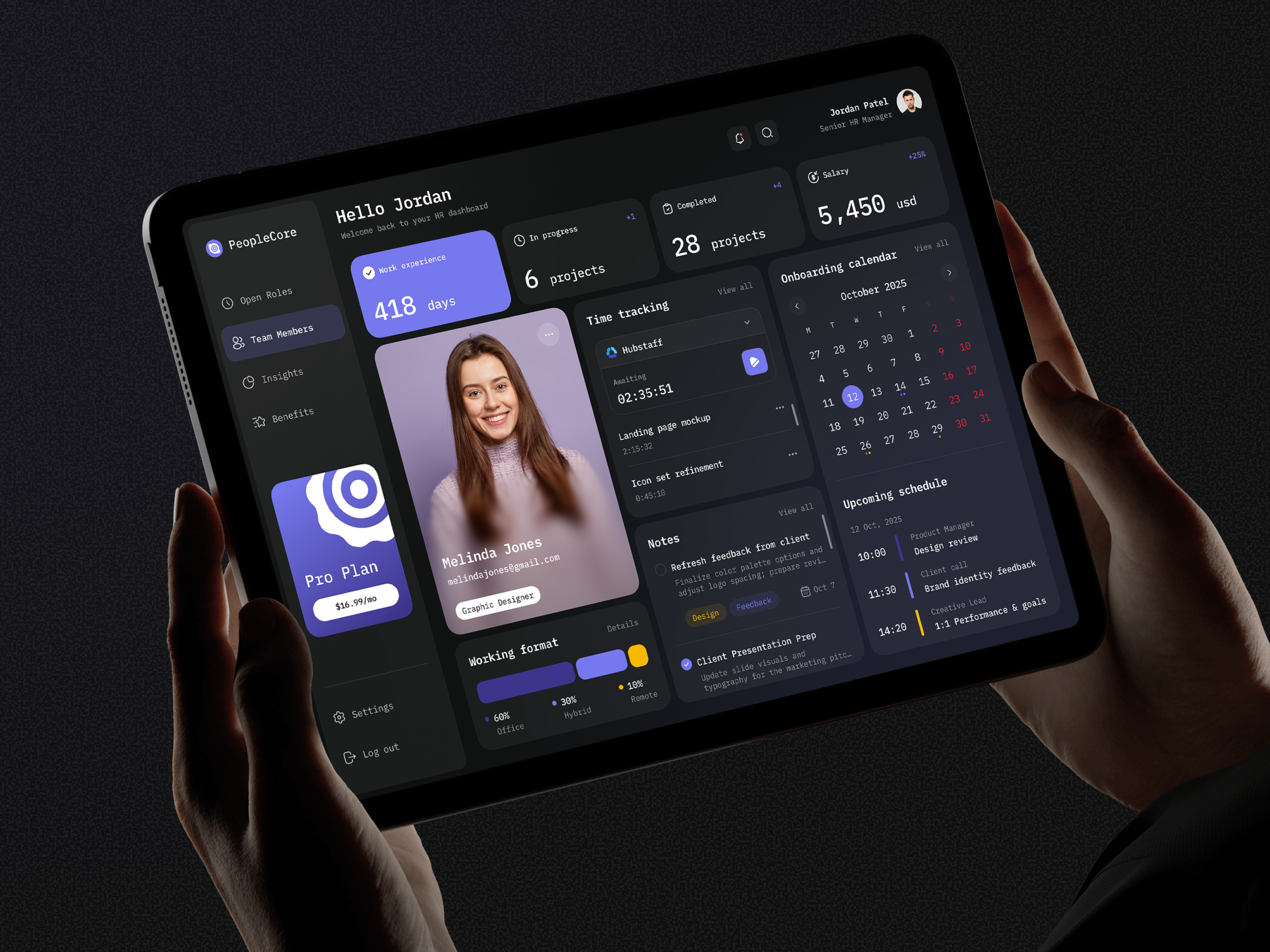 Custom Enterprise Software - HR & Payroll Dashboard