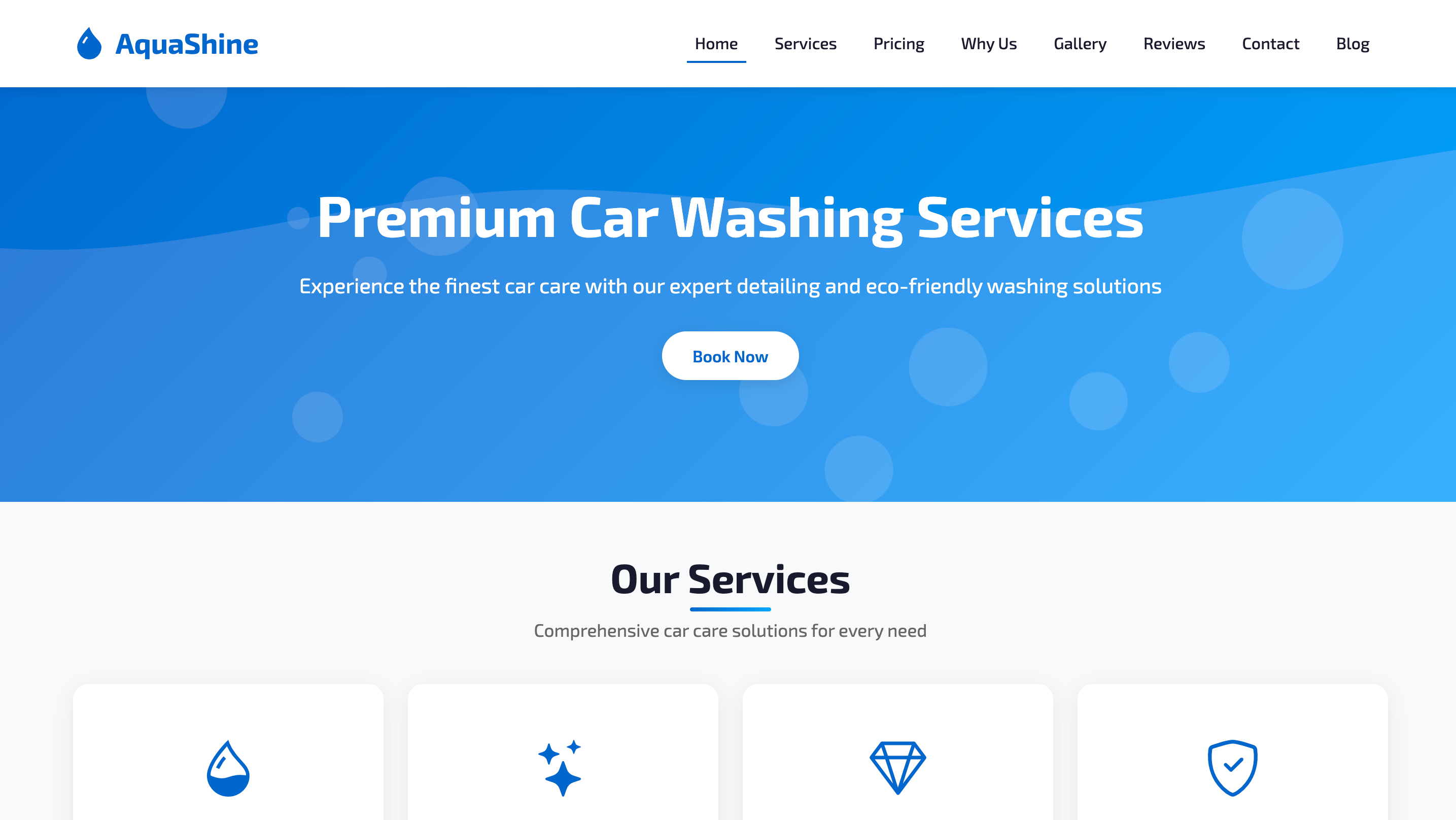 Car Wash & Detailing Services Website carservice carwash ui website