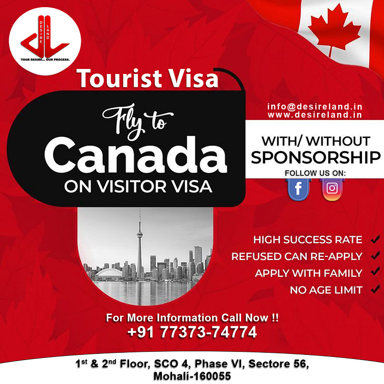 TOURIST VISA CANADA by Desireland on Dribbble