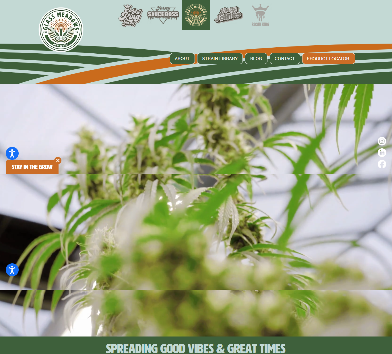 Nature-Inspired Cannabis Brand Website UI/UX Design animation branding graphic design landingpage ui webdesign webxpart