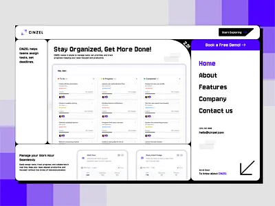 CINZEL Task Dashboard saas ui ux web design