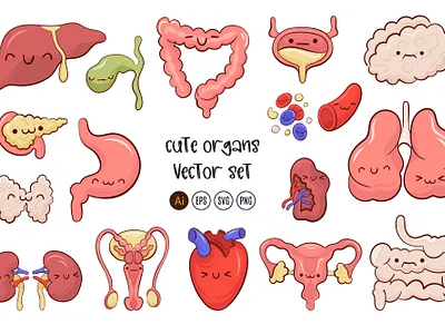 Cute Organs Vector Cartoon set adobe illustrator cartoon style character design cute illustration illustration kawaii illustrations png svg vector