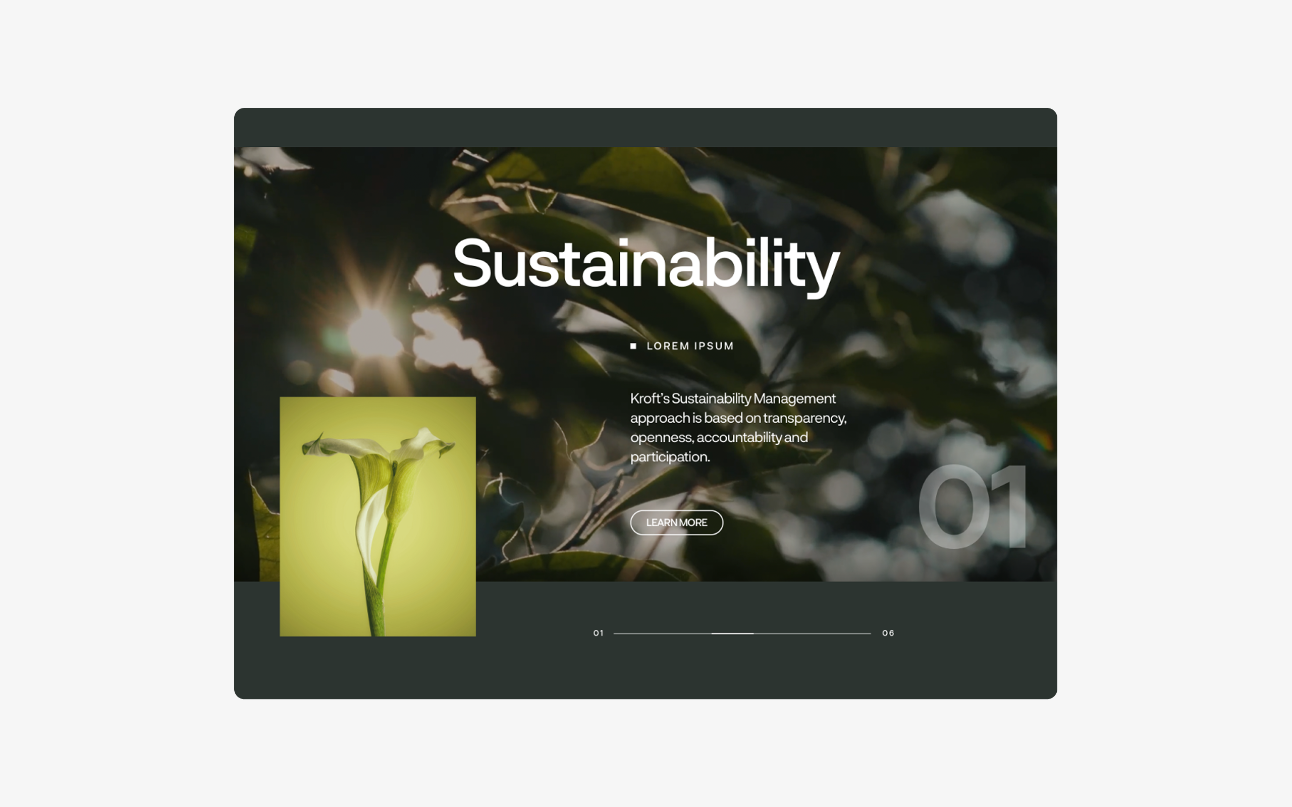 Sustainability Detail branding clean concept creative design illustration layout typography ui ux