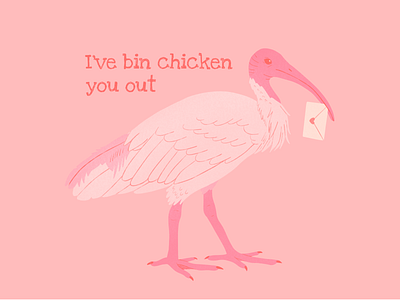 Bin Chicken You Out bin chicken bird colourful design digital art ibis illustration nature pink procreate