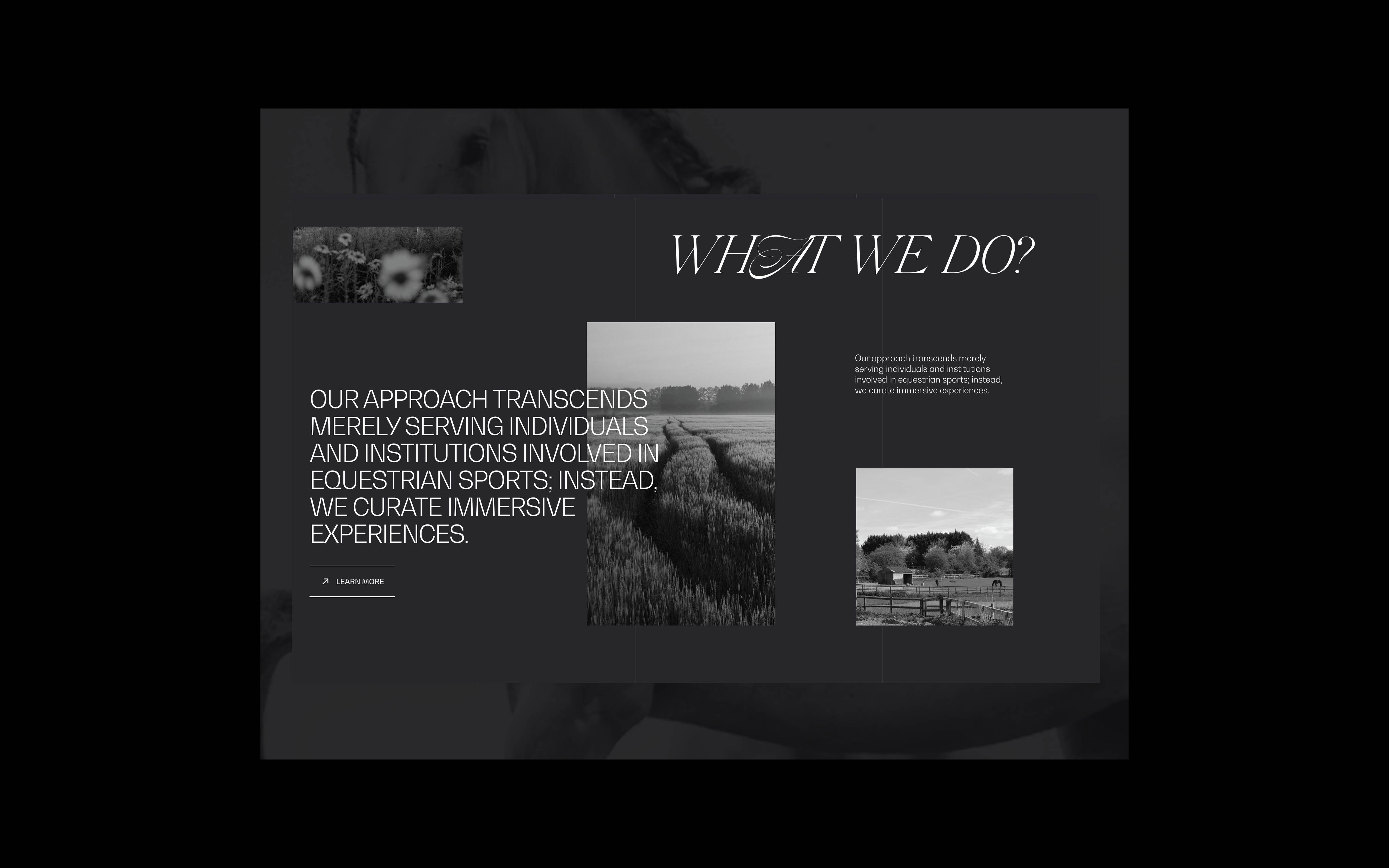 Equine clean concept creative design illustration layout typography ui ux