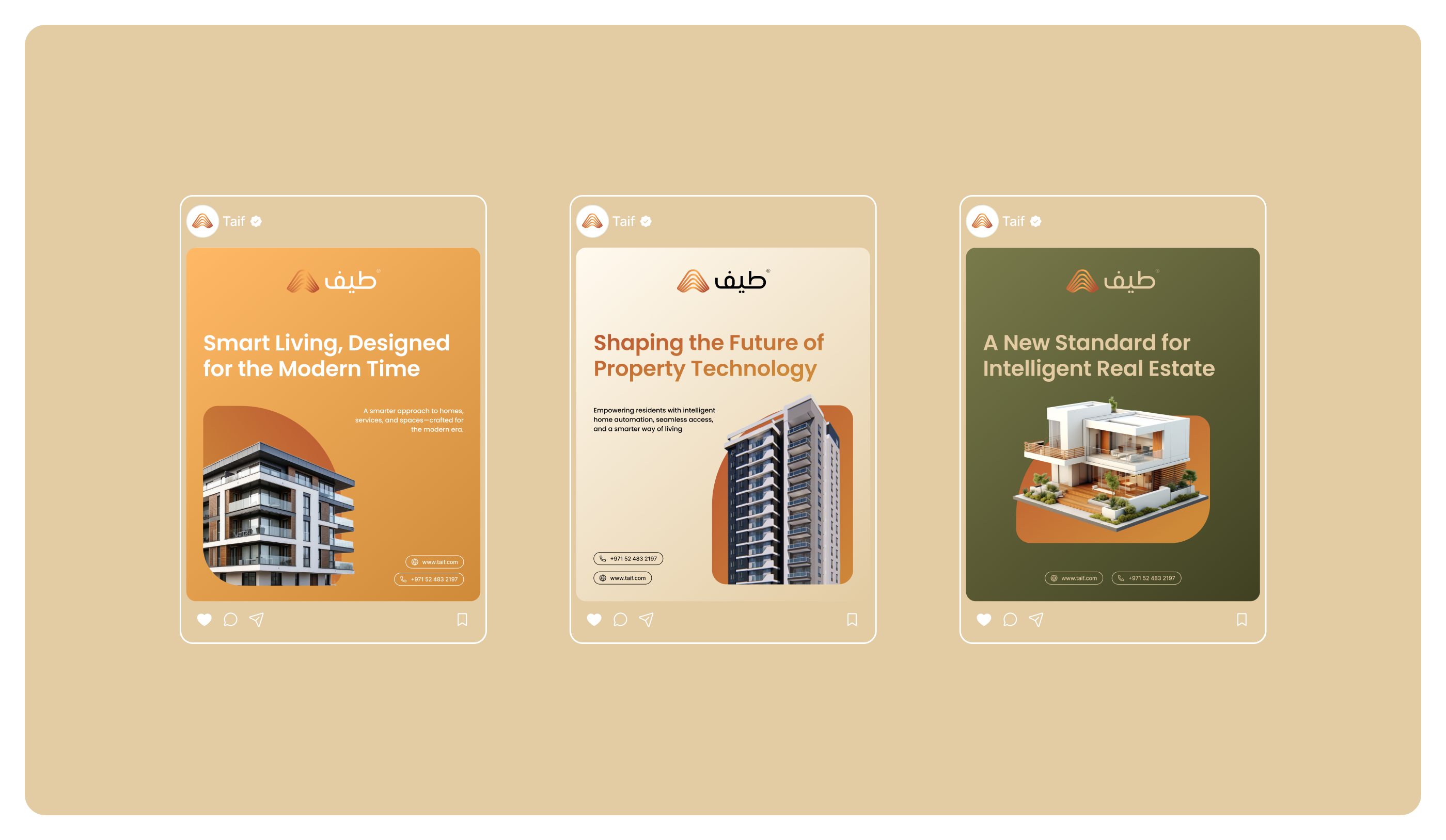 Example of Brand System For Product & Deck