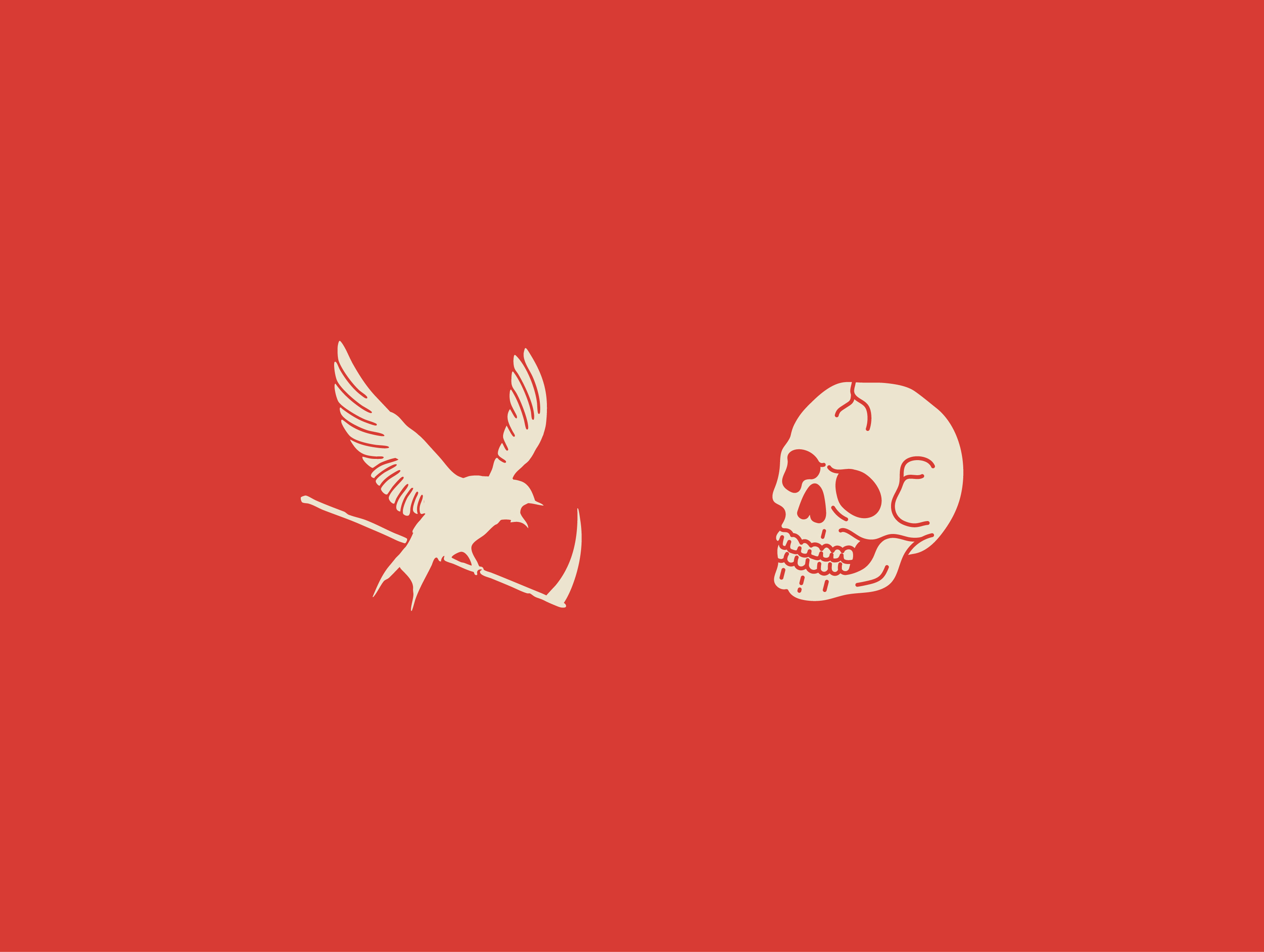 Example of Primary Brand Logo Design