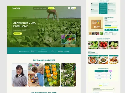 Shopify Agriculture Website ecommerce landing page shopify shopify agriculture website shopify design shopify ecommerce website shopify store shopify store design shopify website web design website
