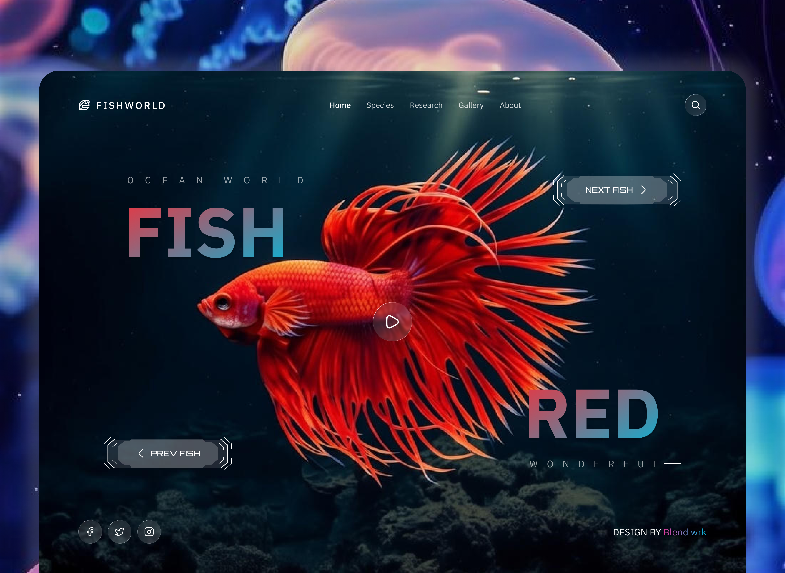 Example of Modern & Creative Mobile App UI Design