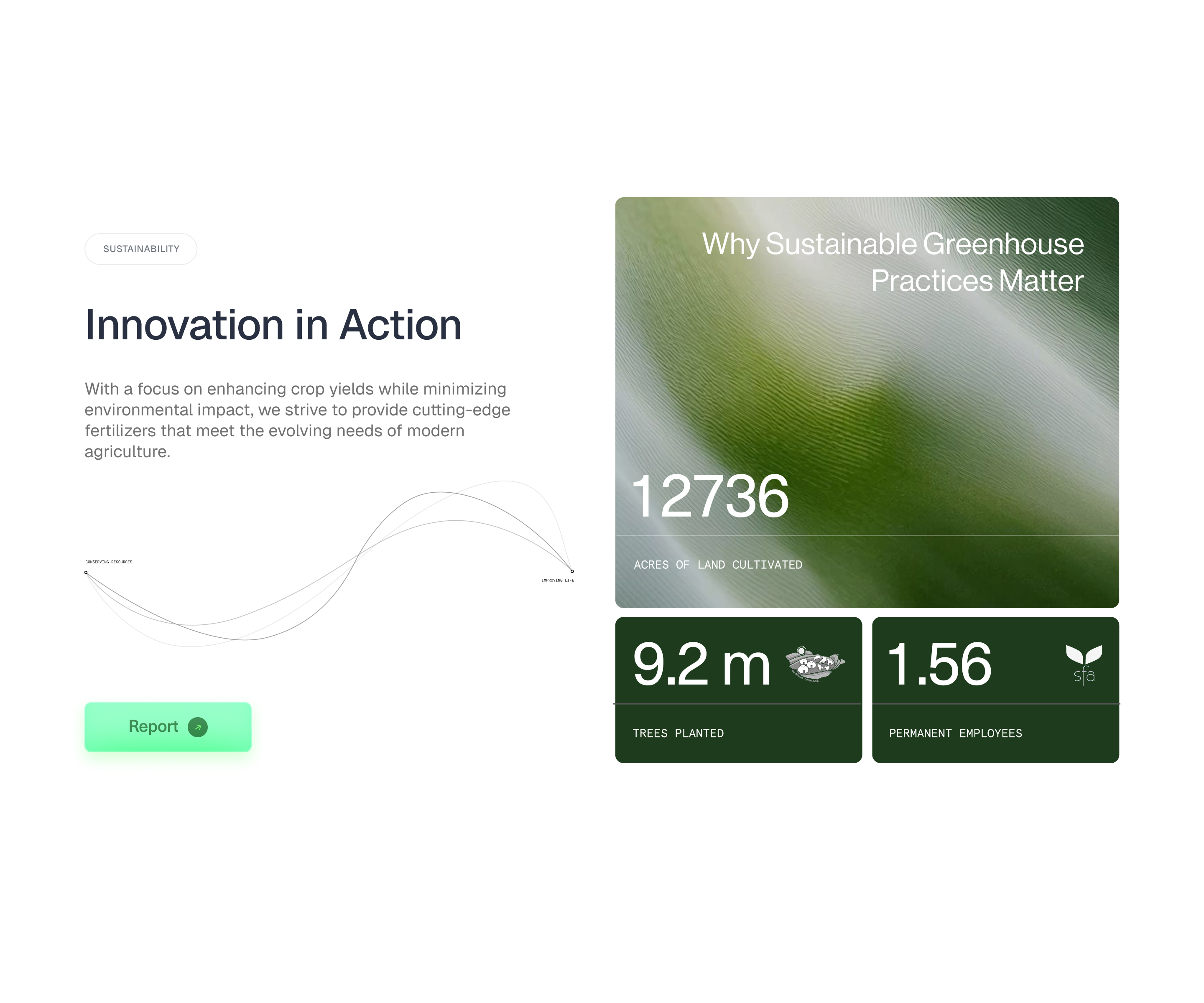 Sustainability branding clean concept creative design illustration layout typography ui ux
