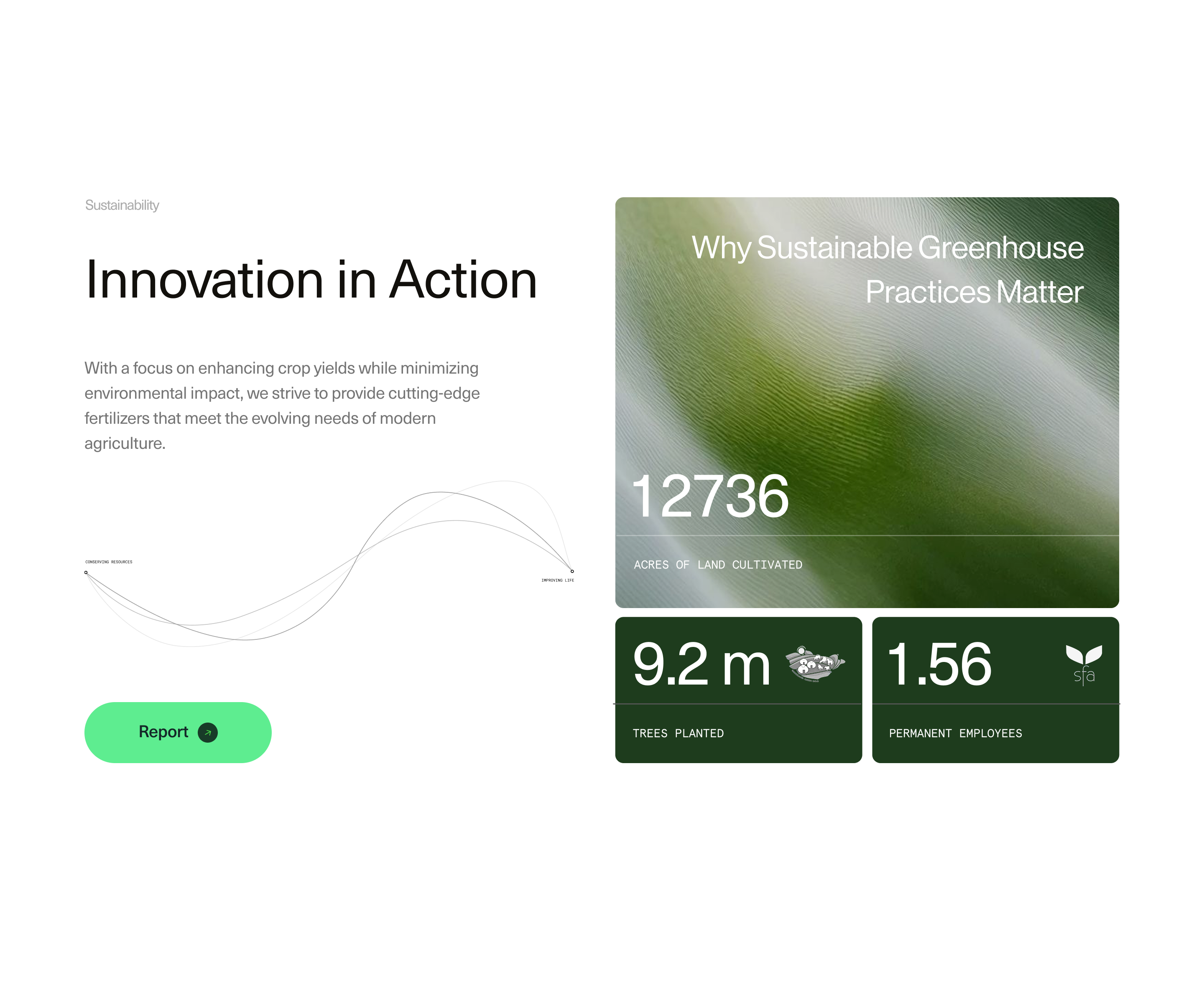 Sustainability branding clean concept creative design illustration layout typography ui ux