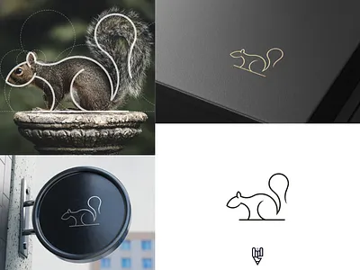 Squirrel Logo Design app branding design flat golden ratio graphic design grid logo icon illustration line art logo squirrel ui vector
