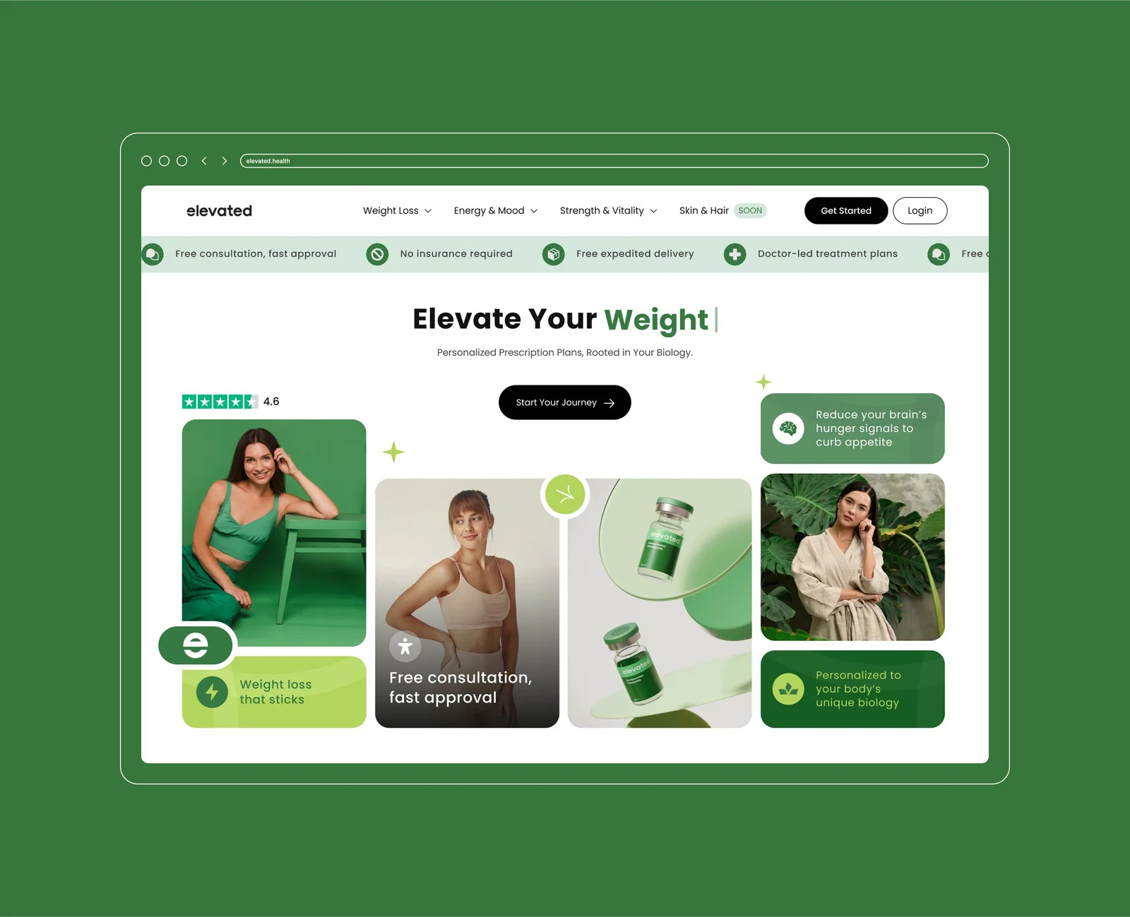 Example of Web Design And Development 