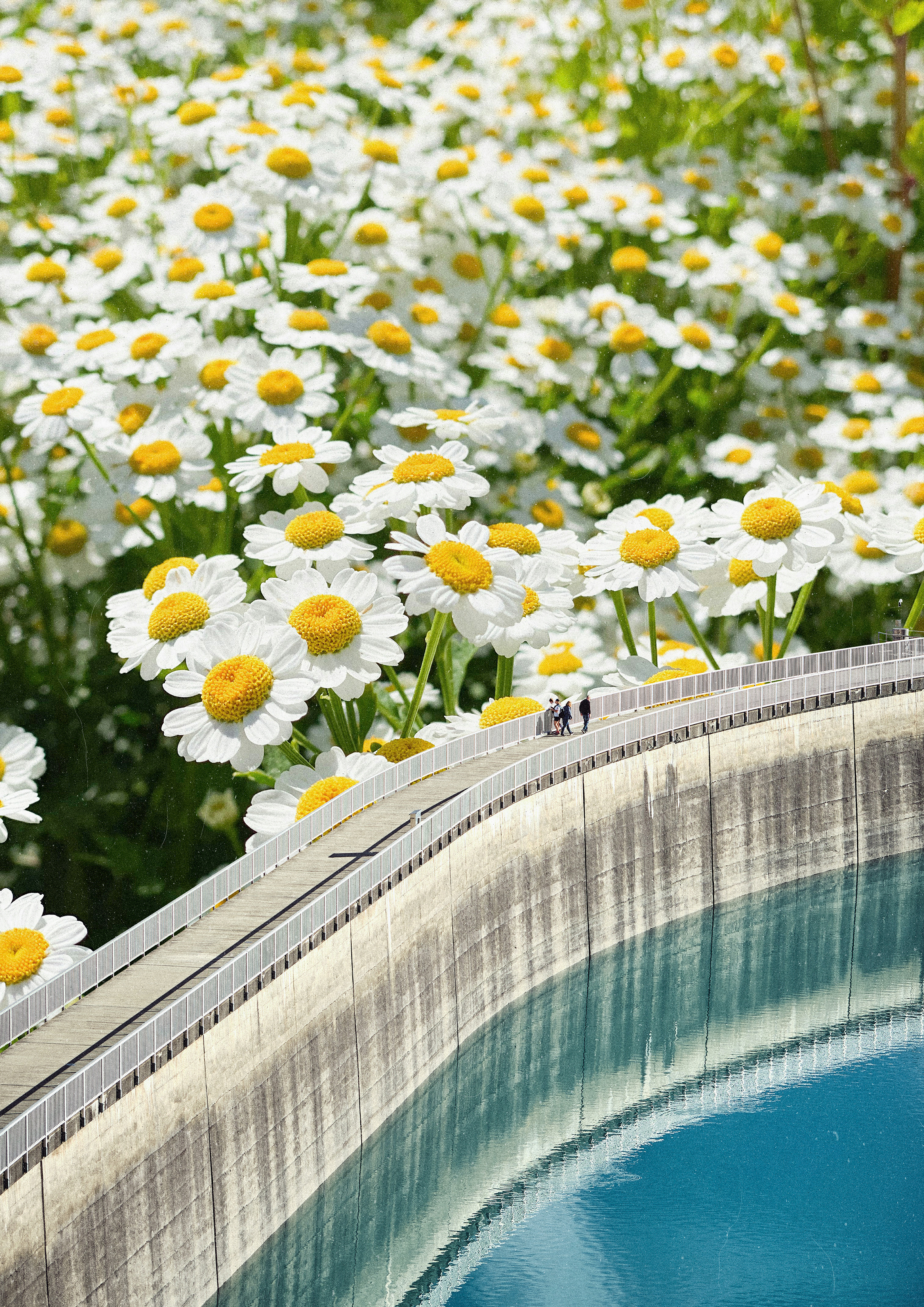 longing for spring album cover book cover collage cover design design digital art graphic design illustration poster 그래픽디자인 꼴라주 꼴라쥬 콜라주 콜라쥬