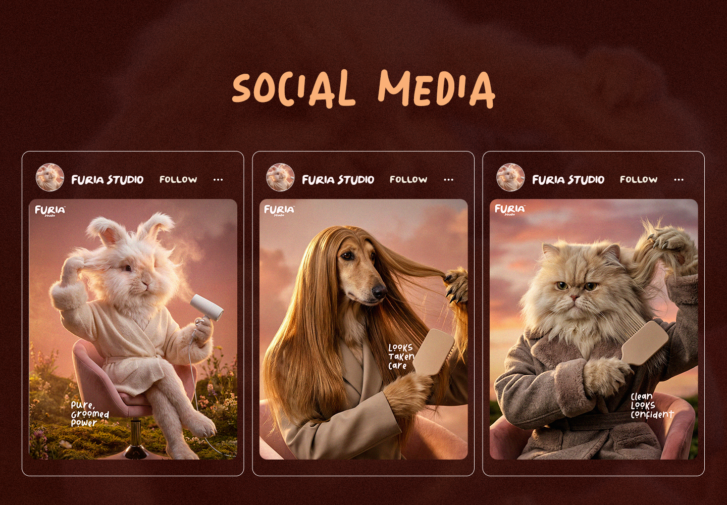 Example of Website UI Design (Design Only)