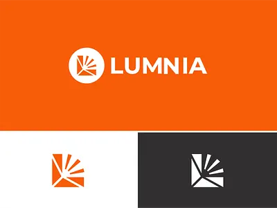 Lumnia Logo 2d 3d branding design graphic design illustration logo vector