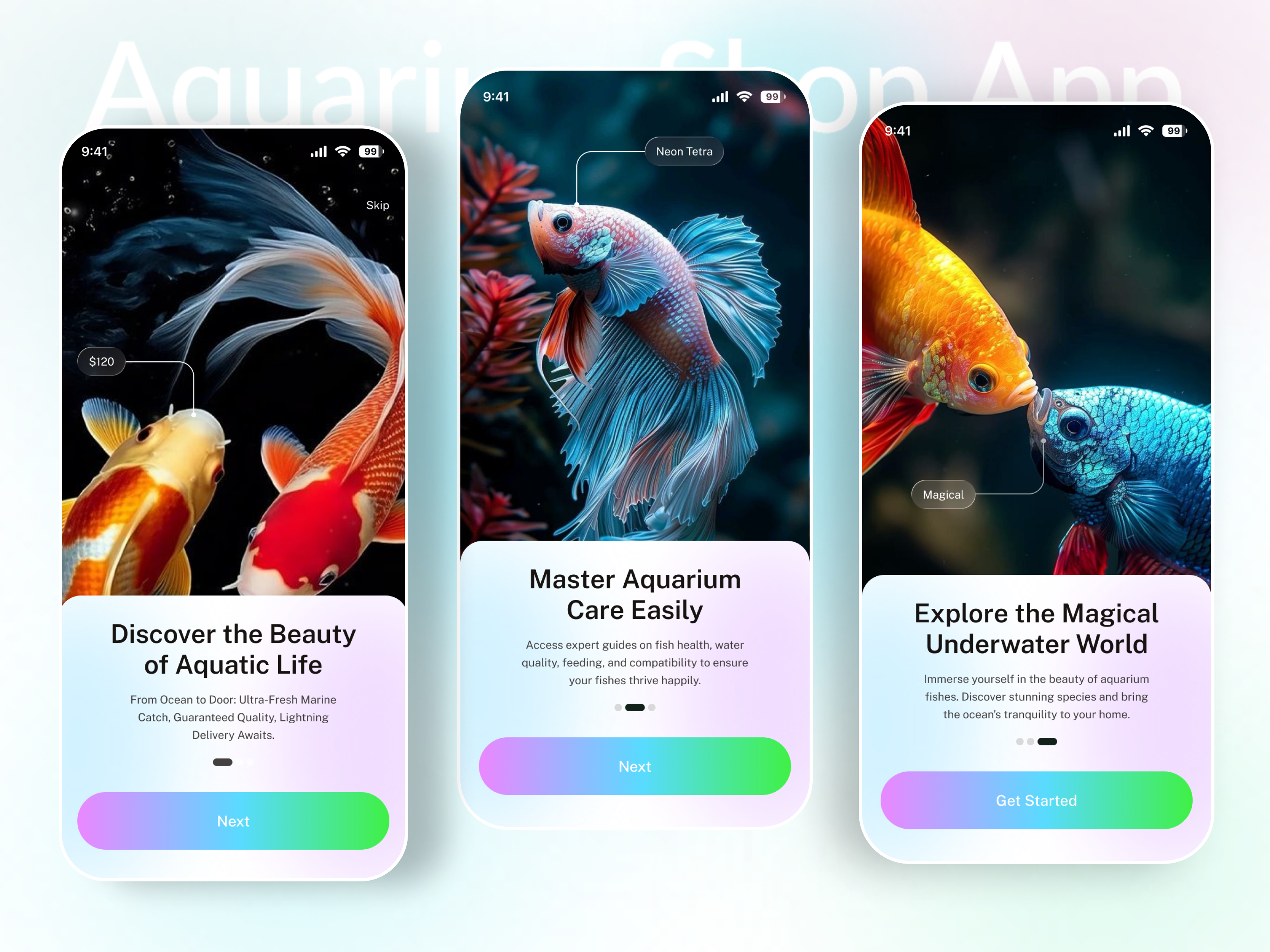 Example of Mobile App Design & Development Service