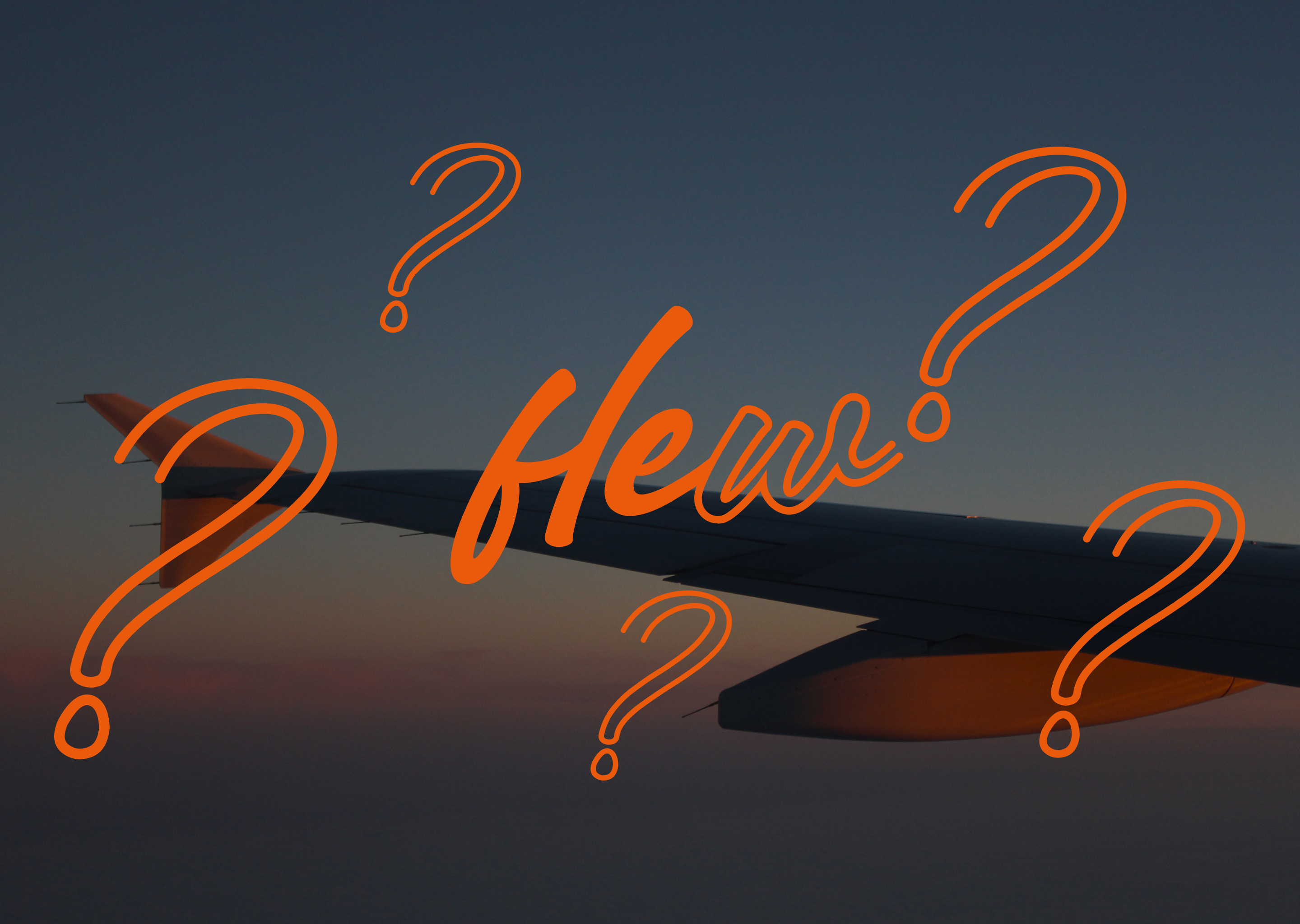 Logo & Print Design | Flew Travel Agency brand design brand identity branding business card design color branding creative branding design inspiration dribbble graphic design identity design logo design logomark metaphorical logo modern branding print design sticker design symbolic logo travel agency travel branding visual identity