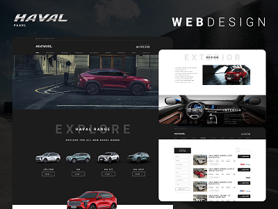 Haval Paarl Website design ui ux web web design website wordpress