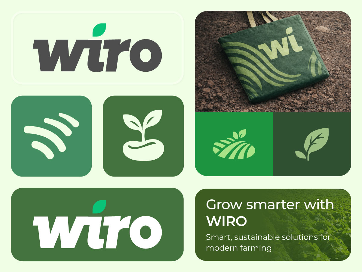 Example of Premium Logo Design Package