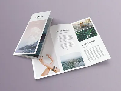 LUMINA Trifold Brochure #2 app branding design graphic design illustration logo typography ui ux vector