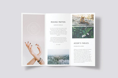 LUMINA Trifold Brochure #4 app branding design graphic design illustration logo typography ui ux vector