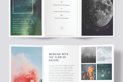 LUMINA Trifold Brochure #9 app branding design graphic design illustration logo typography ui ux vector