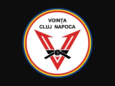 Voința Cluj-Napoca — Karate Club Logo brand identity emblem karate logo sports branding symbol