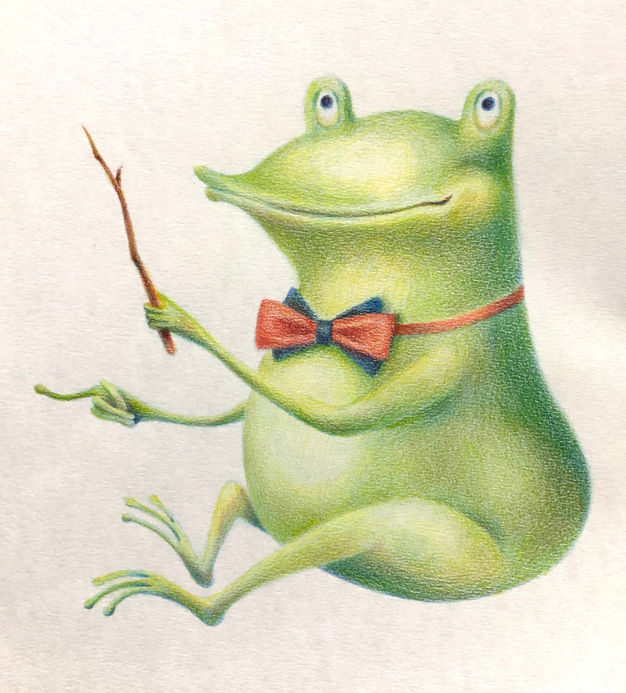 Color Pencil Animal - Frog color pencil animal color pencil illustration frog