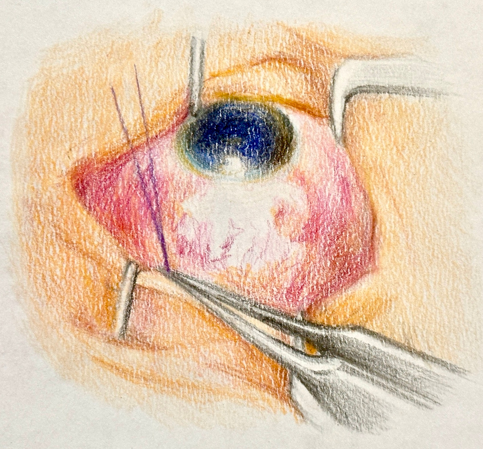 Medical Drawing designs, themes, templates and downloadable graphic ...