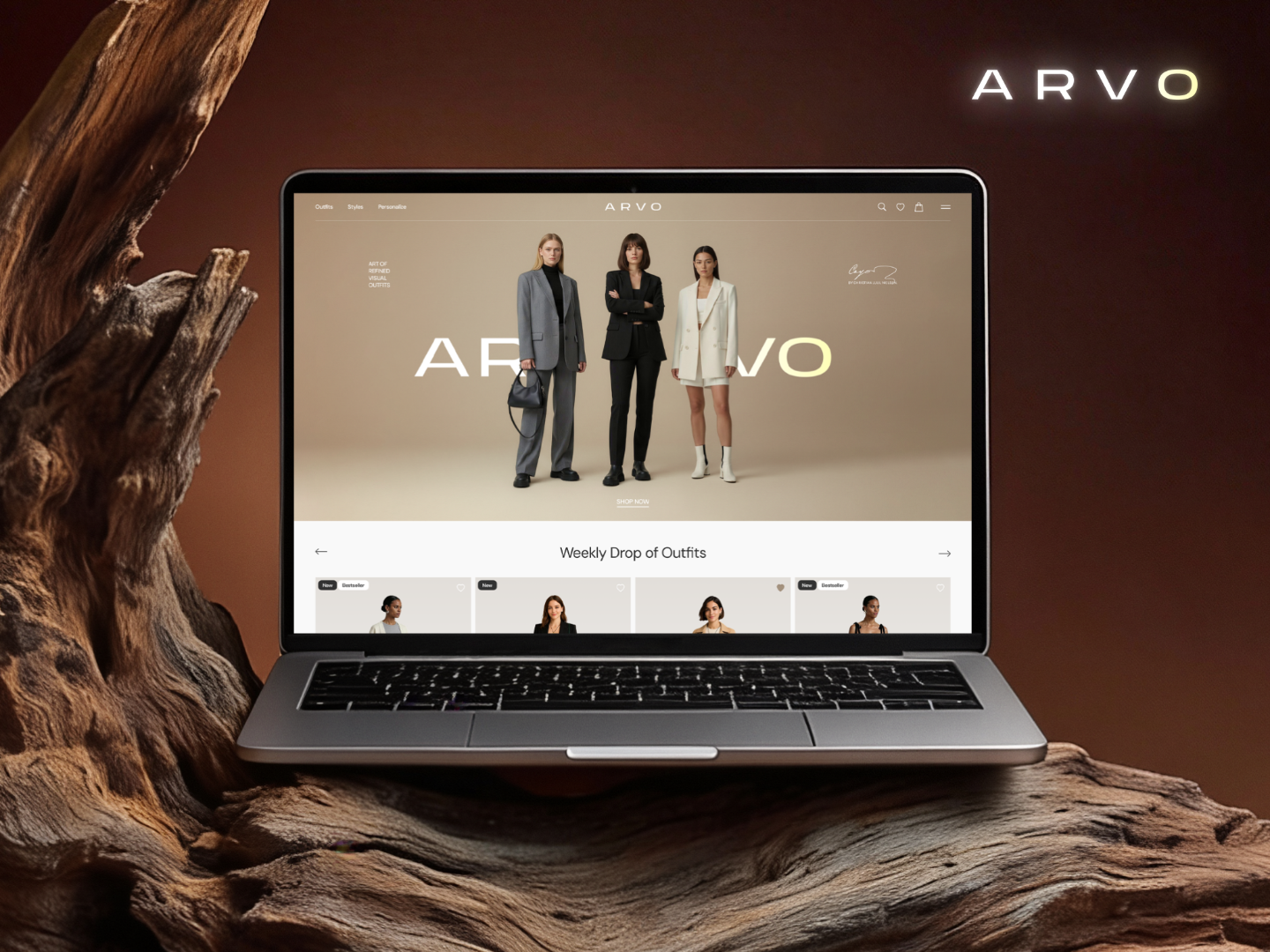 Example of E Commerce Website Design