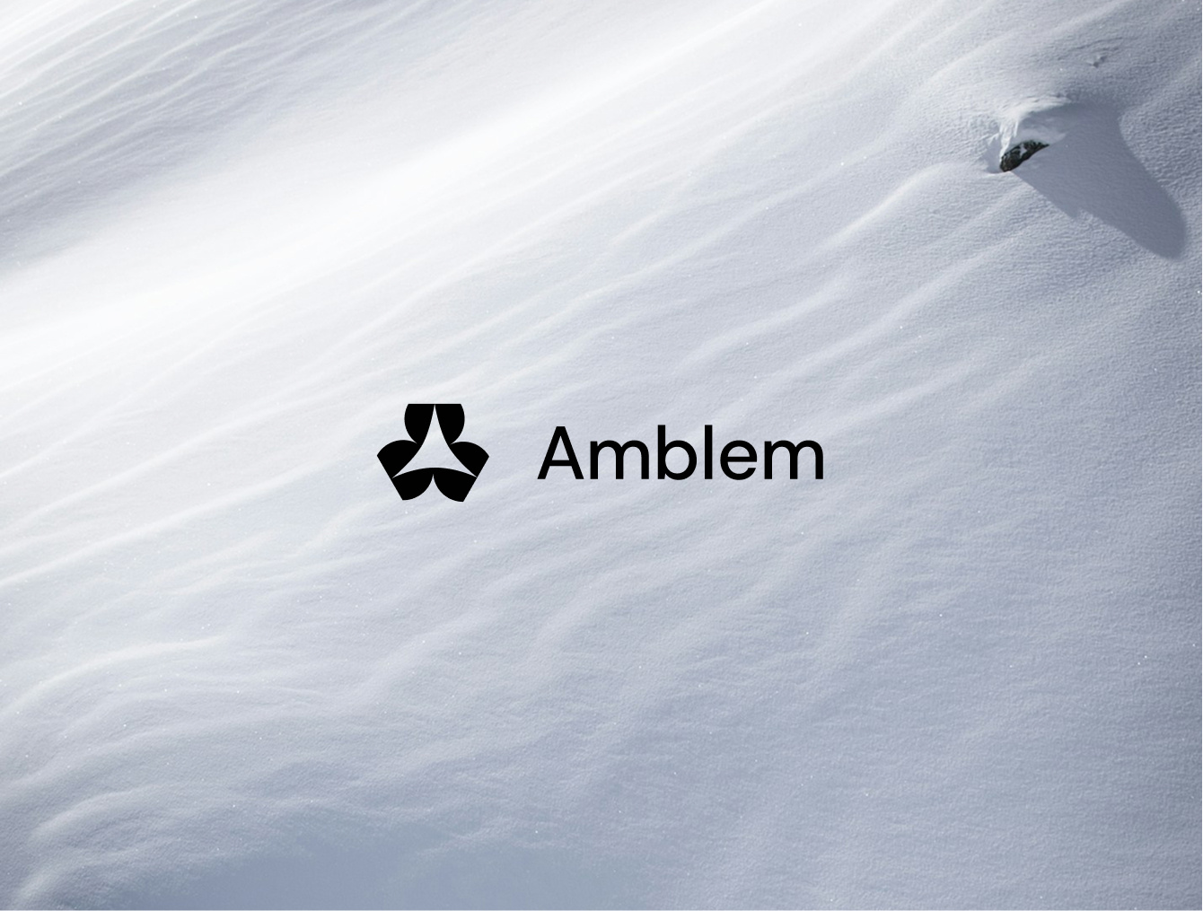 Example of Icon Style Logo Design