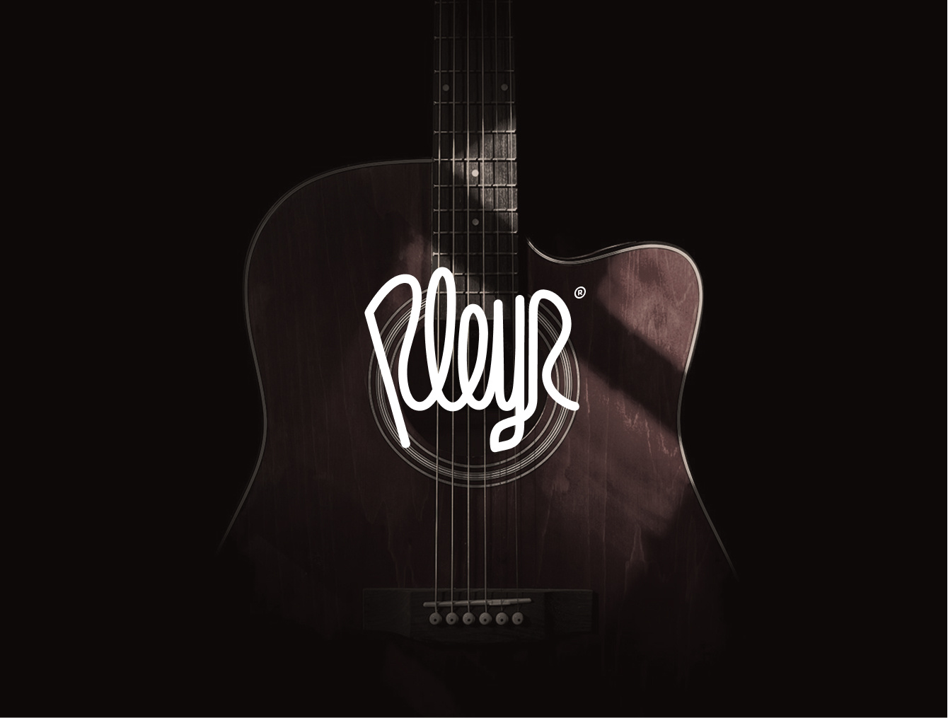 Pleyr Logo branding logo