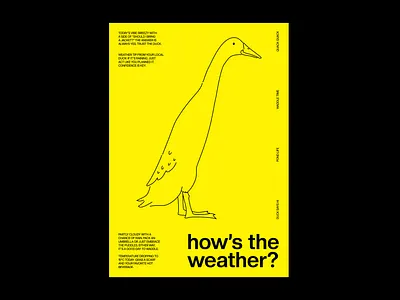 Weather Duck Poster bold design designer figma graphic graphic design illustration minimal modern poster poster design