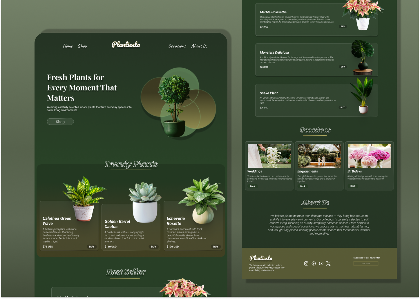 Plantiesta Website branding figma minimal modern plant shop ui ui design website website design
