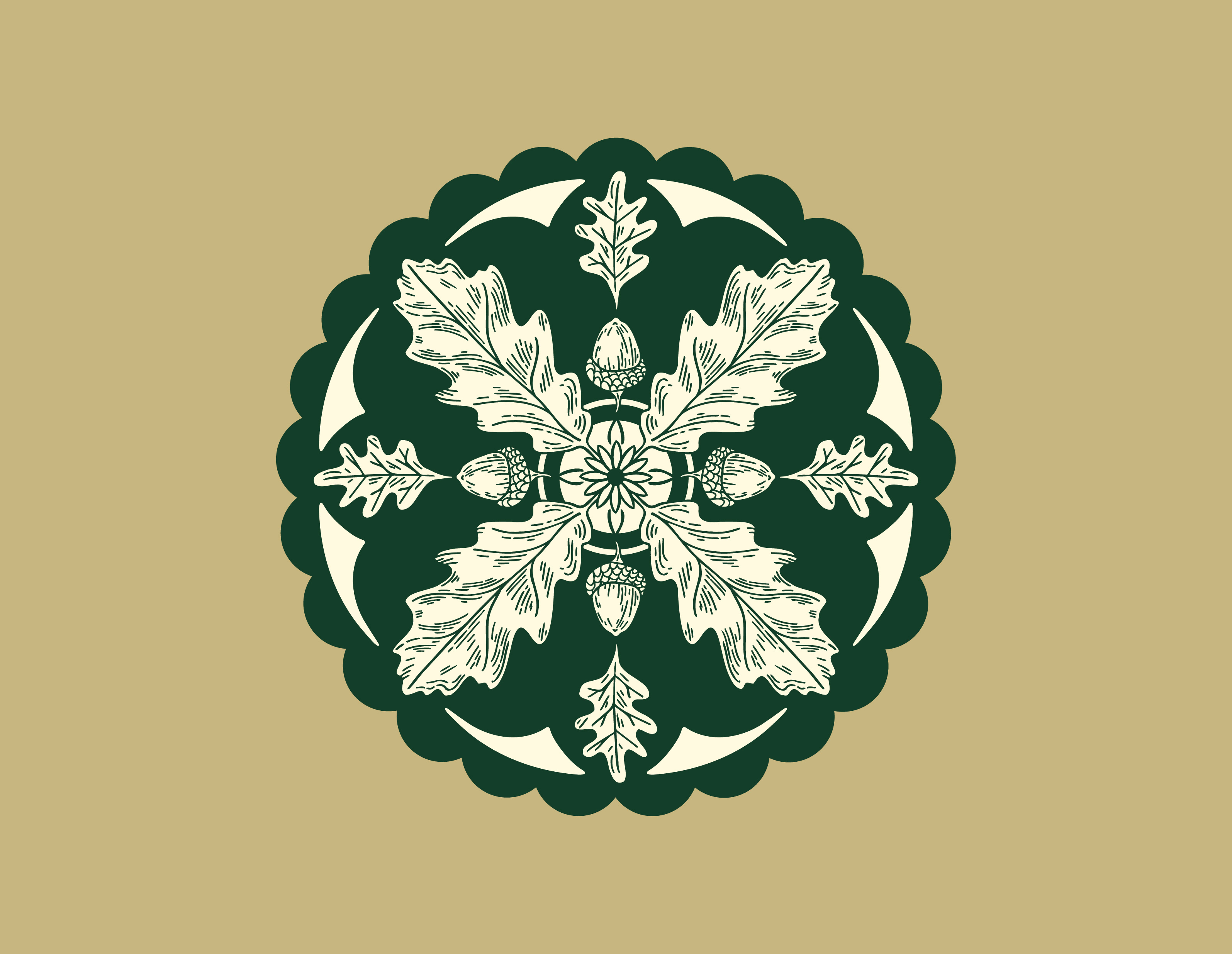 Folk art amish hex sign art barn circle country design drawing folk german graphic design hand drawn hex icon illustration lancaster leaves motion graphics nature oak pennsylvania symmetrical