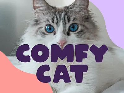 Comfy Cat Branding branding graphic graphic design graphicdesigner logo